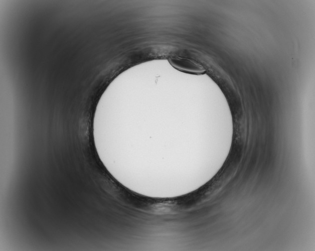 X0000096160505200802151417