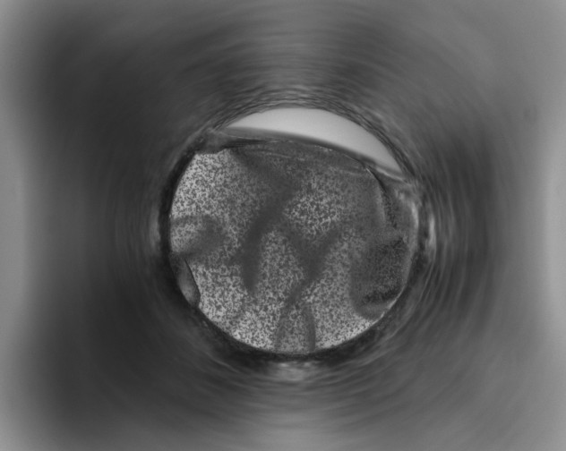 X0000096160508200802151417