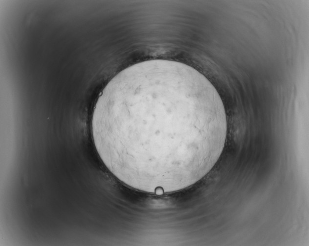 X0000096160510200802151417