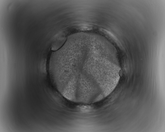 X0000096160512200802151417