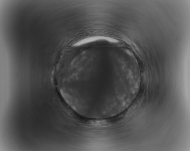 X0000096160517200802151417