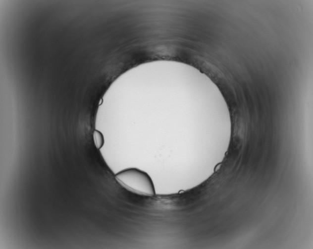 X0000096160518200802151417