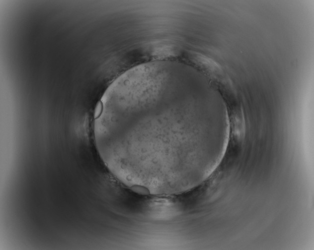 X0000096160519200802151417