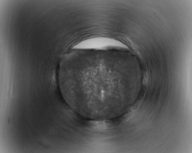 X0000096160524200802151417