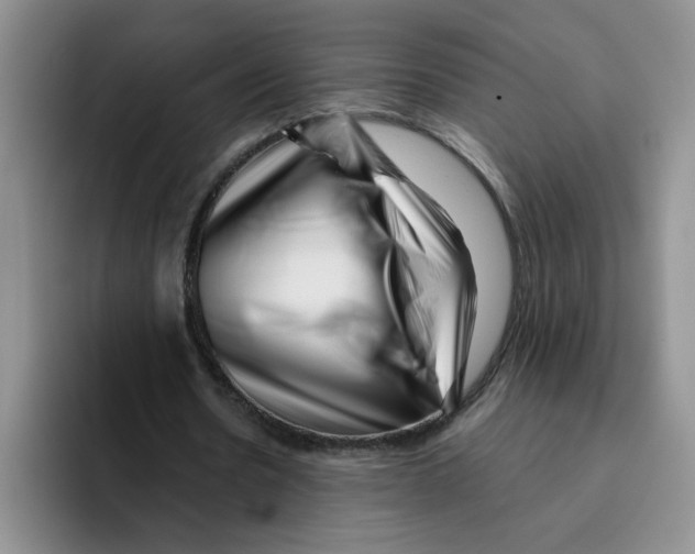 X0000096160530200802151416