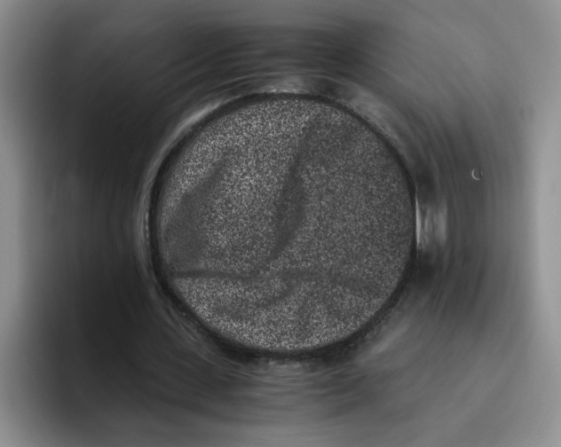 X0000096160531200802151416