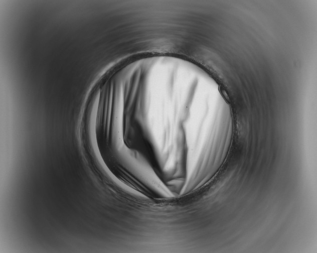 X0000096160532200802151416