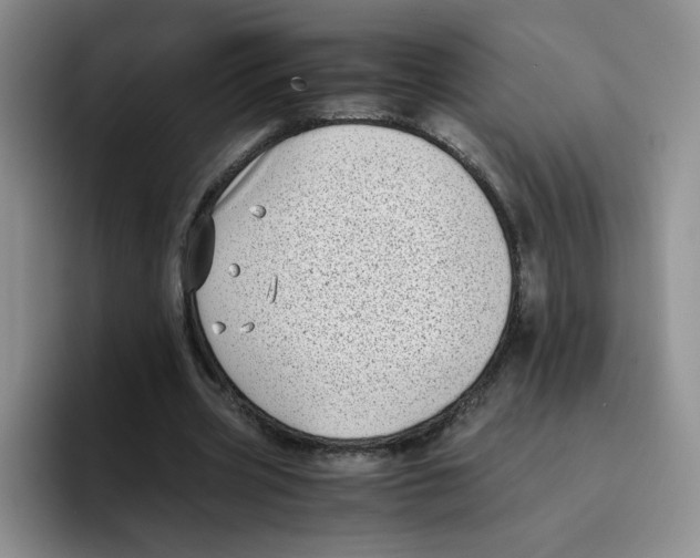 X0000096160533200802151416