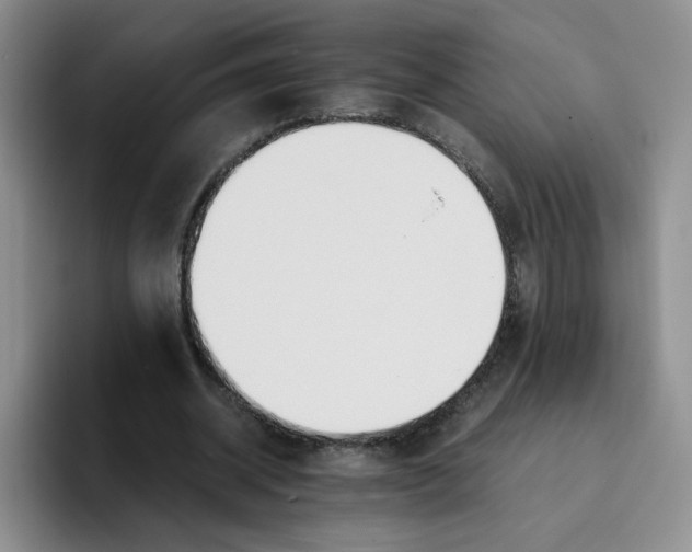 X0000096160534200802151416