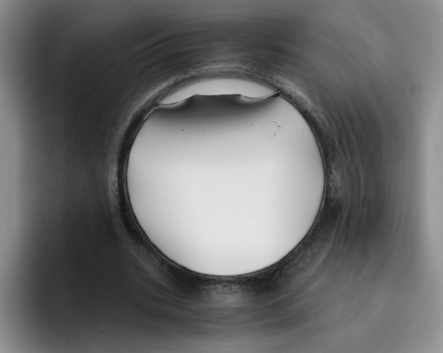 X0000096160535200802151416