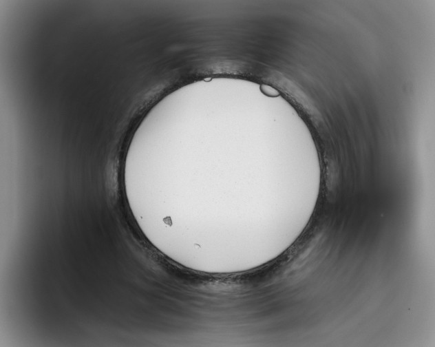 X0000096160537200802151417