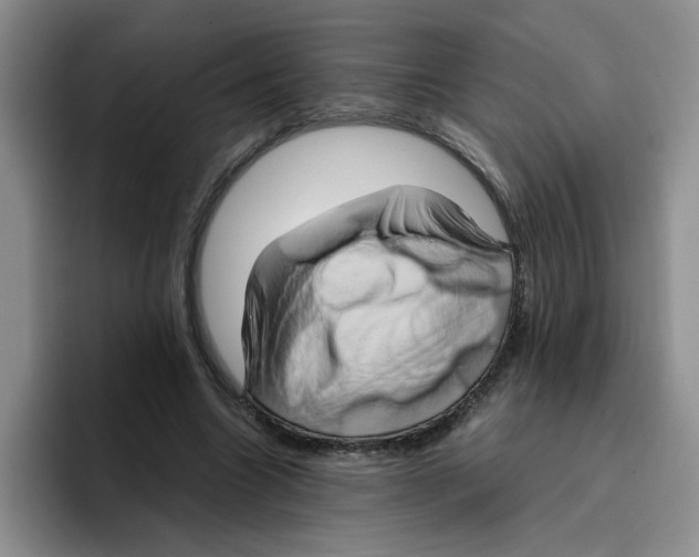 X0000096160538200802151417