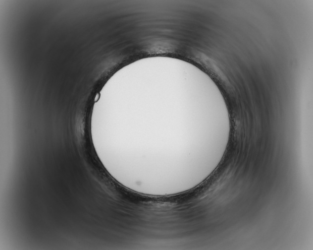 X0000096160539200802151417