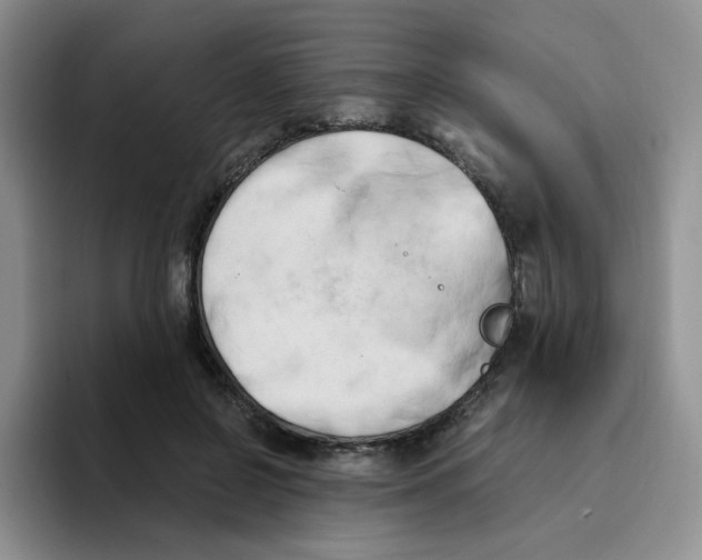 X0000096160550200802151417