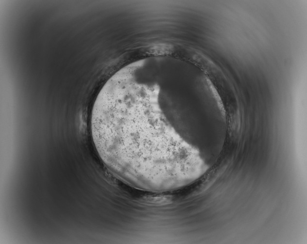 X0000096160553200802151417