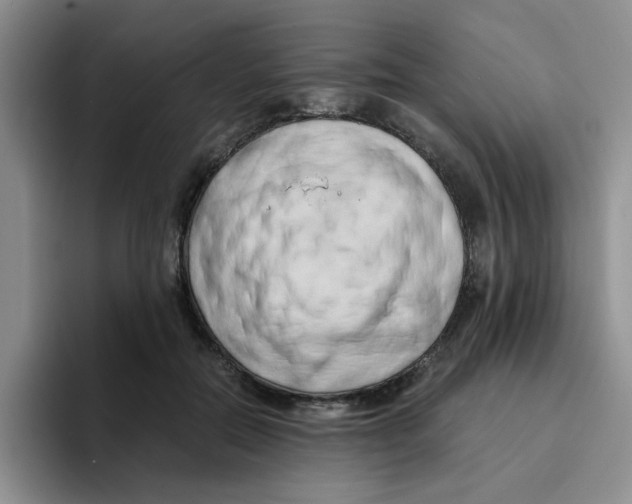 X0000096160554200802151417