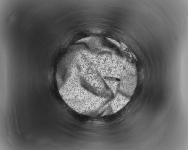 X0000096160559200802151417