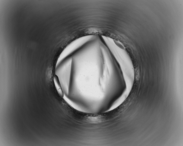 X0000096160560200802151417