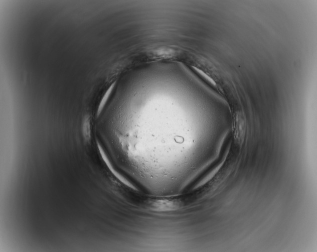 X0000096160562200802151417