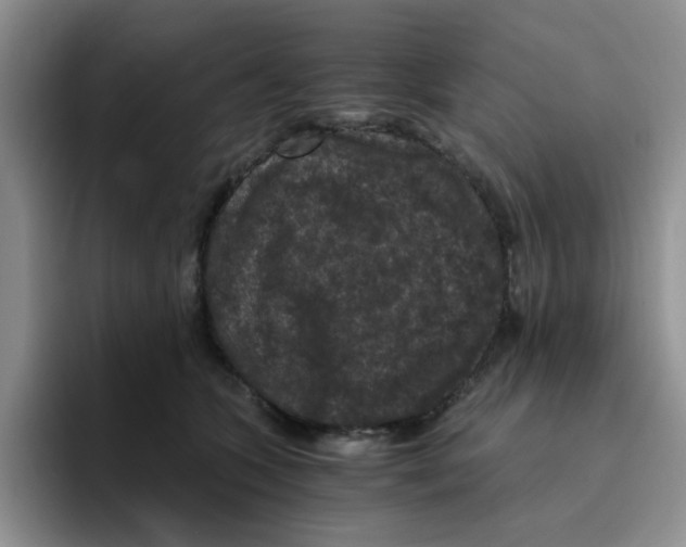 X0000096160563200802151417