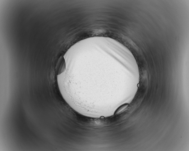 X0000096160565200802151417