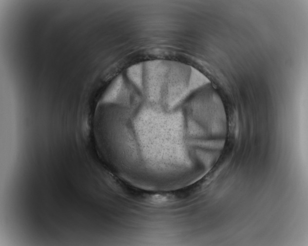 X0000096160566200802151417