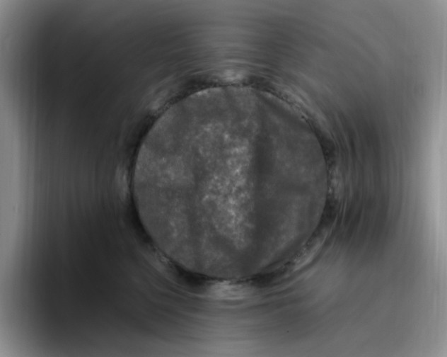 X0000096160568200802151417