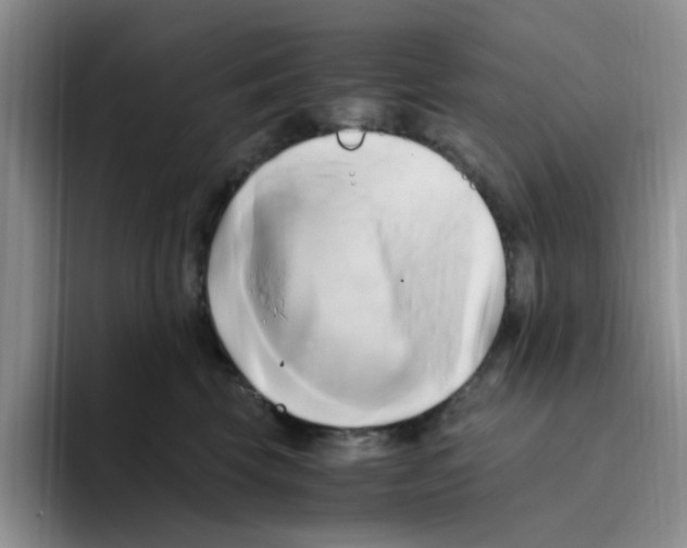 X0000096160569200802151417