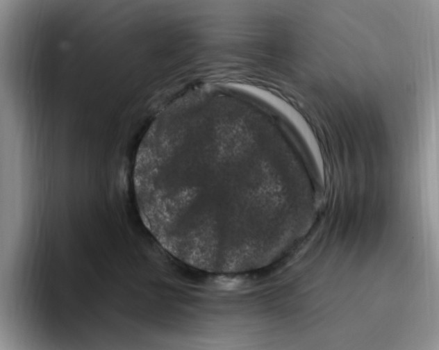 X0000096160570200802151417