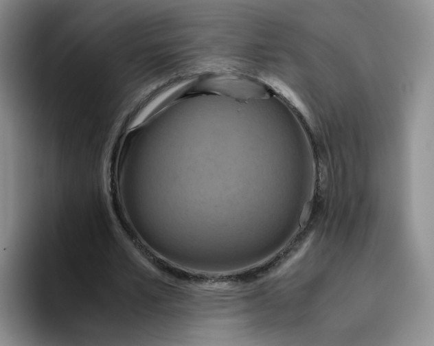 X0000096160581200802151416