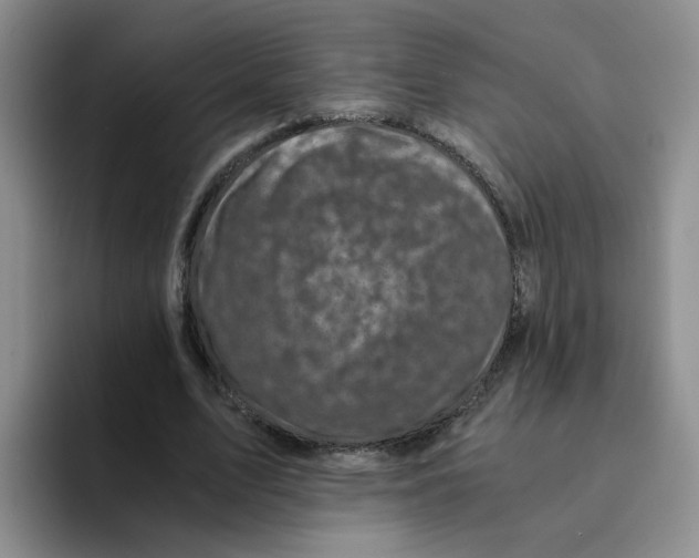 X0000096160583200802151416