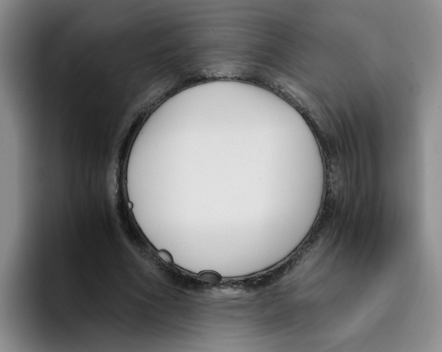 X0000096160586200802151416