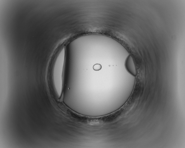 X0000096160587200802151416