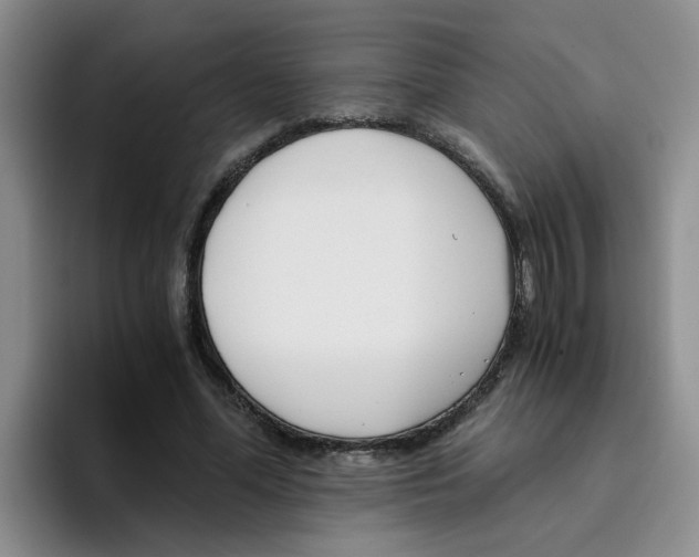 X0000096160588200802151416