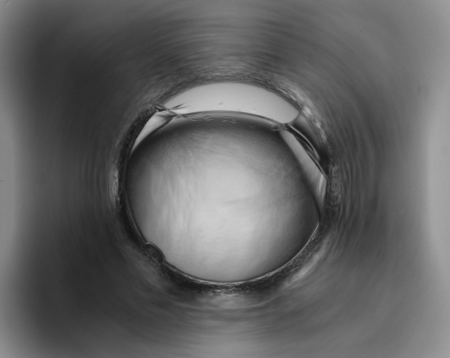 X0000096160589200802151416