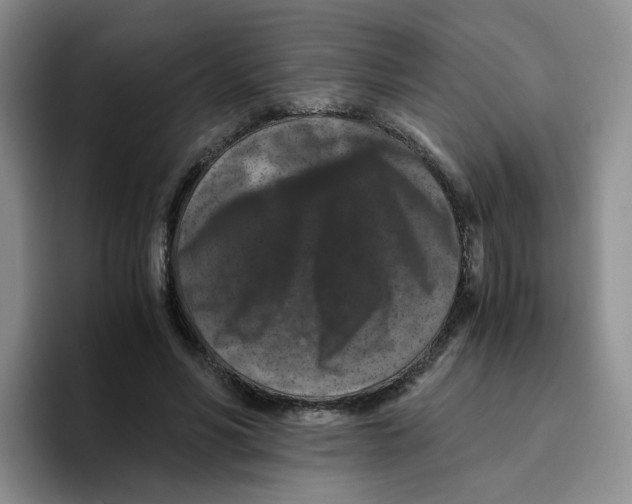 X0000096160590200802151416