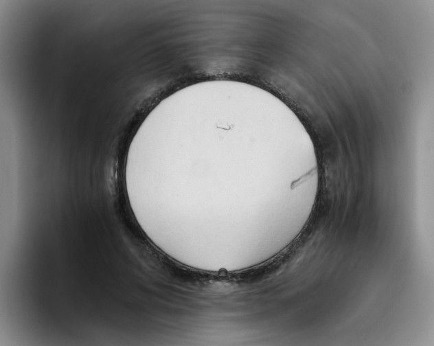 X0000096160592200802151416