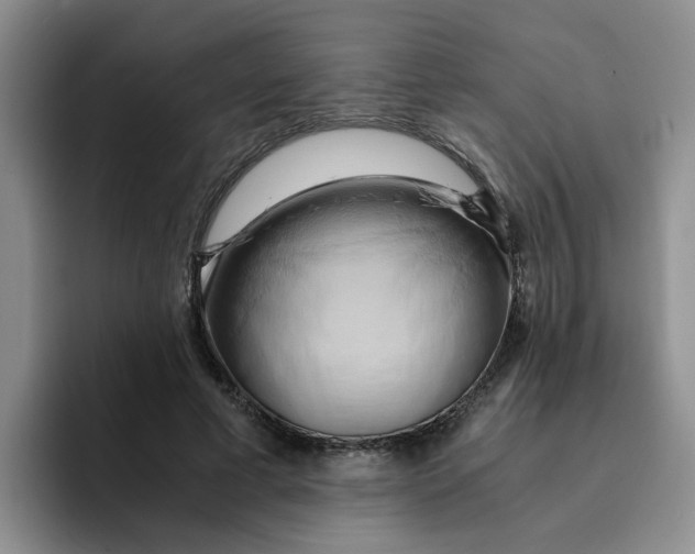 X0000096160593200802151416