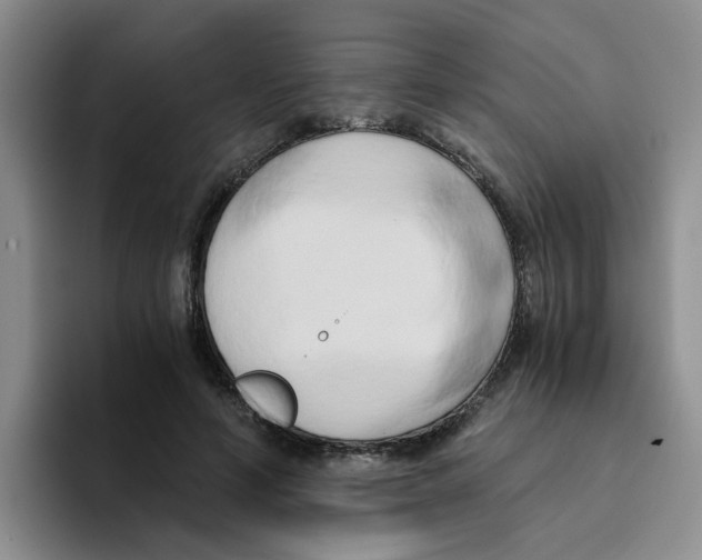 X0000096160594200802151416