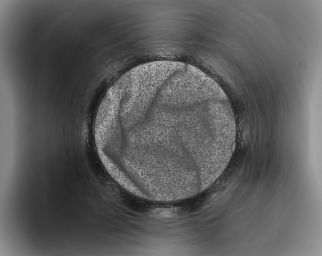 X0000096160595200802151416