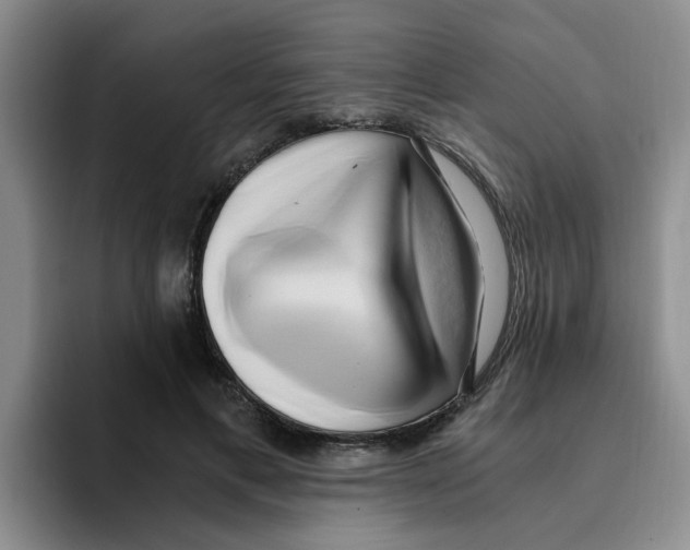 X0000096160597200802151416