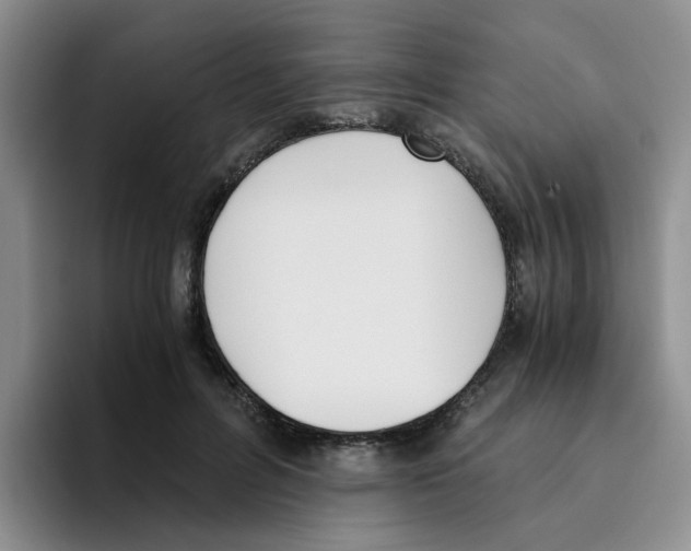 X0000096160600200802151416