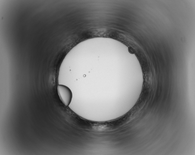 X0000096160602200802151416