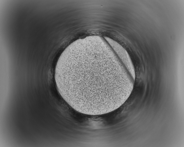 X0000096160603200802151416