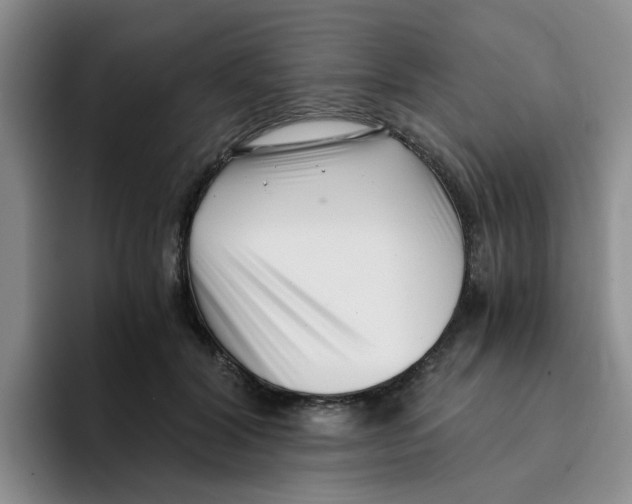 X0000096160604200802151416