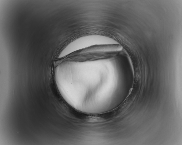 X0000096160605200802151416