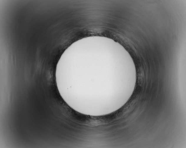 X0000096160608200802151416