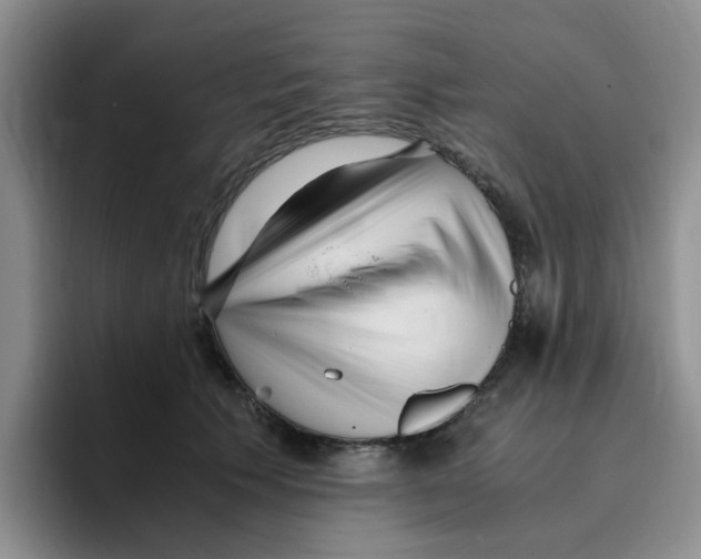 X0000096160609200802151416