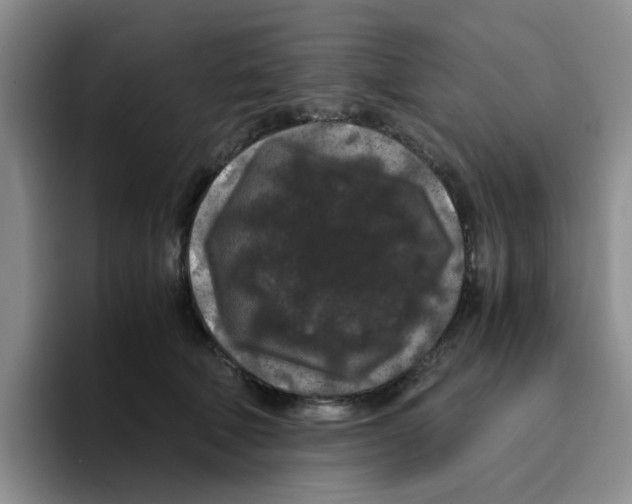 X0000096160610200802151416