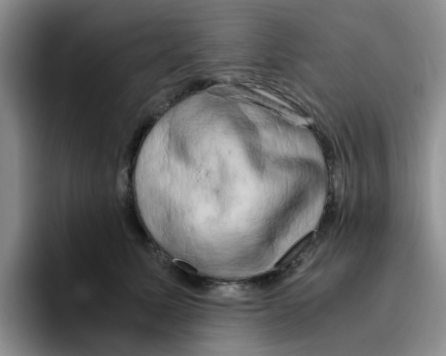 X0000096160611200802151416